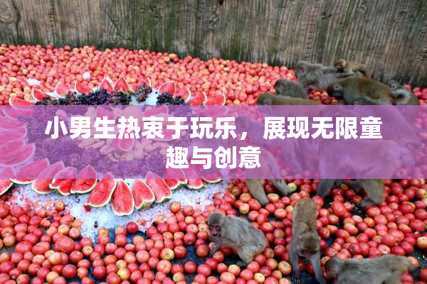 小男生热衷于玩乐，展现无限童趣与创意