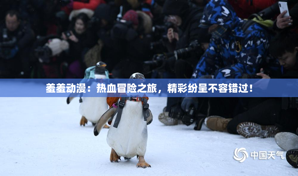 羞羞动漫：热血冒险之旅，精彩纷呈不容错过！