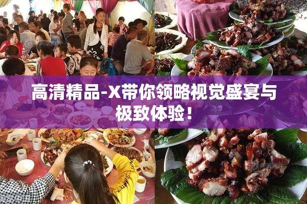 高清精品-X带你领略视觉盛宴与极致体验！