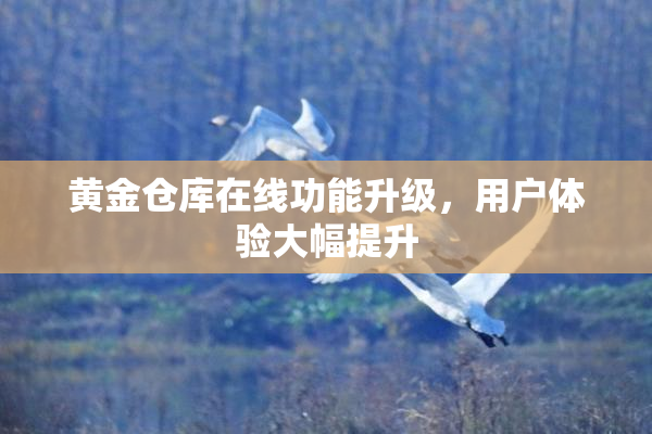 黄金仓库在线功能升级，用户体验大幅提升