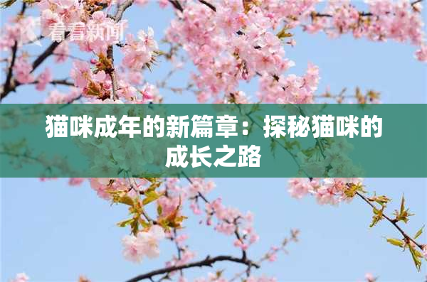 猫咪成年的新篇章：探秘猫咪的成长之路
