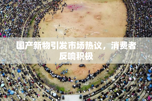 国产新物引发市场热议，消费者反响积极