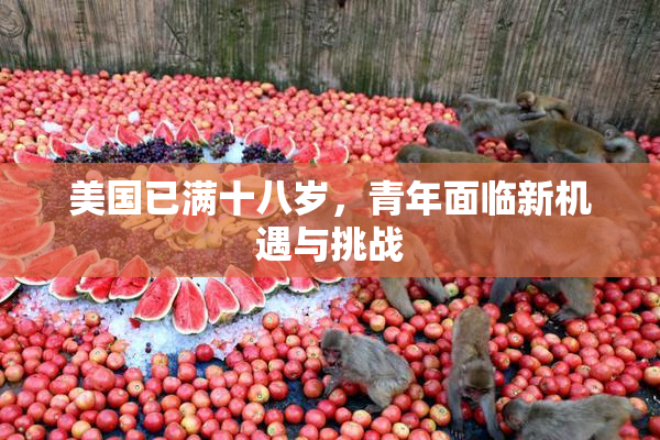 美国已满十八岁，青年面临新机遇与挑战