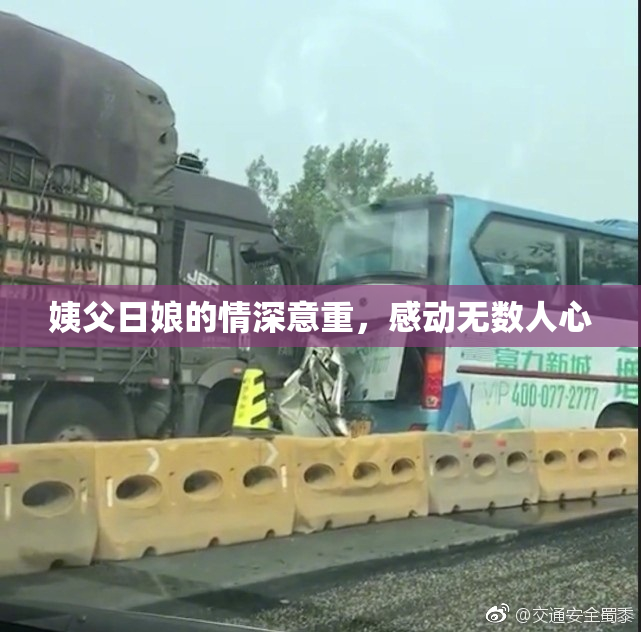 姨父日娘的情深意重，感动无数人心