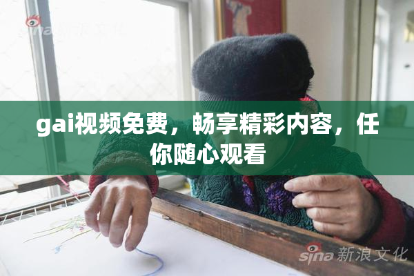 gai视频免费，畅享精彩内容，任你随心观看