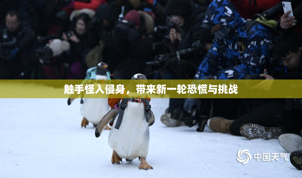 触手怪入侵身，带来新一轮恐慌与挑战