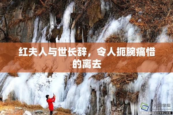 红夫人与世长辞，令人扼腕痛惜的离去
