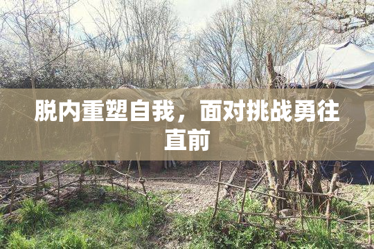 脱内重塑自我，面对挑战勇往直前