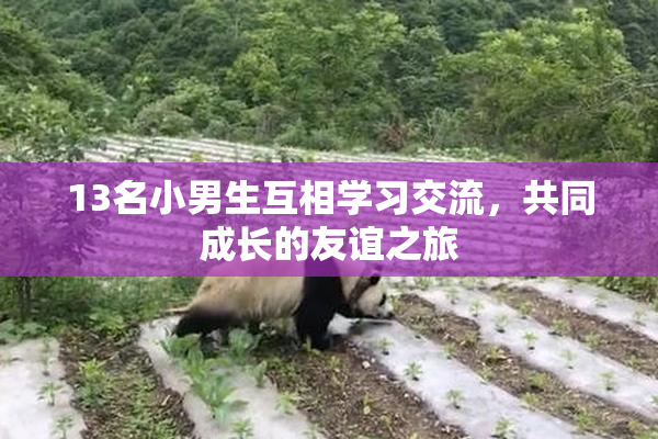 13名小男生互相学习交流，共同成长的友谊之旅