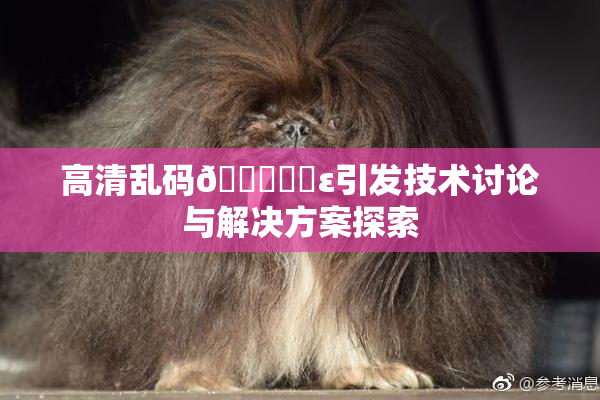 高清乱码🔞❌‌ε引发技术讨论与解决方案探索