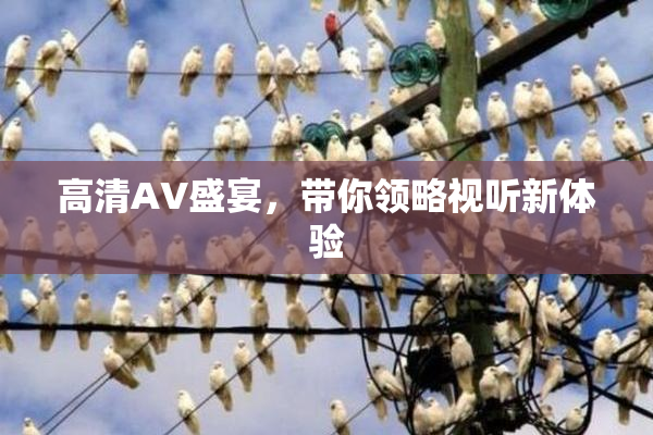 高清AV盛宴，带你领略视听新体验