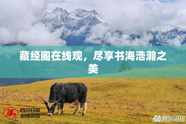 藏经阁在线观，尽享书海浩瀚之美