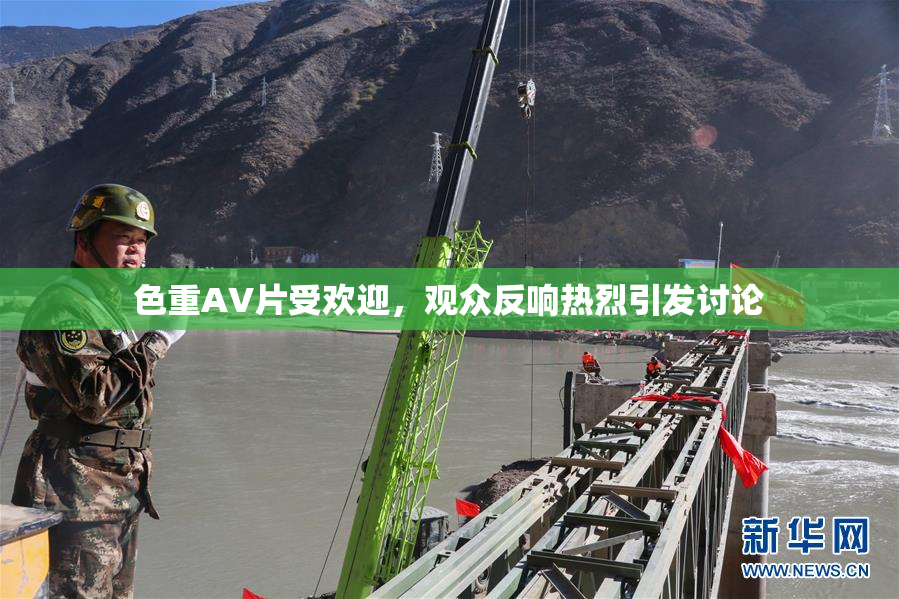 色重AV片受欢迎，观众反响热烈引发讨论