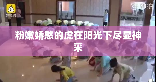 粉嫩娇憨的虎在阳光下尽显神采