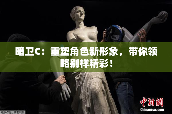 暗卫C：重塑角色新形象，带你领略别样精彩！