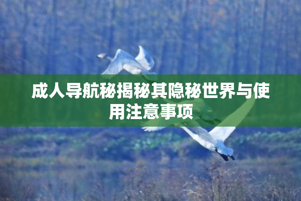 成人导航秘揭秘其隐秘世界与使用注意事项