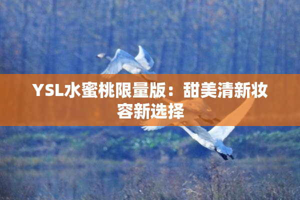 YSL水蜜桃限量版：甜美清新妆容新选择