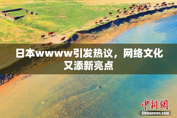 日本wwww引发热议，网络文化又添新亮点