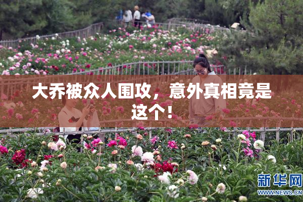 大乔被众人围攻，意外真相竟是这个！