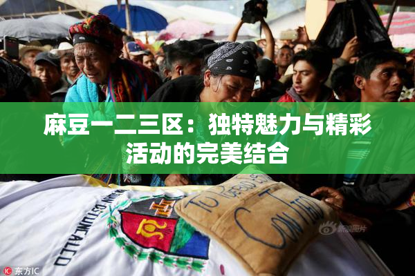 麻豆一二三区：独特魅力与精彩活动的完美结合
