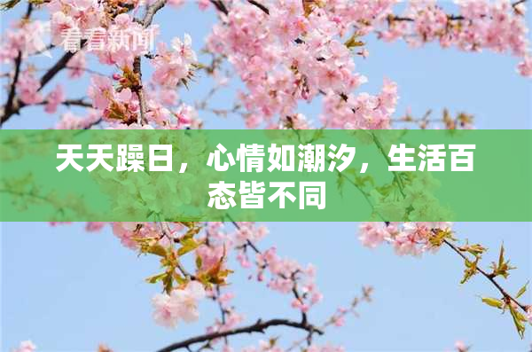 天天躁日，心情如潮汐，生活百态皆不同
