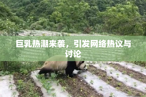 巨乳热潮来袭，引发网络热议与讨论