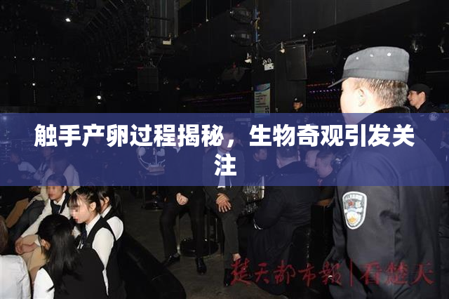 触手产卵过程揭秘，生物奇观引发关注