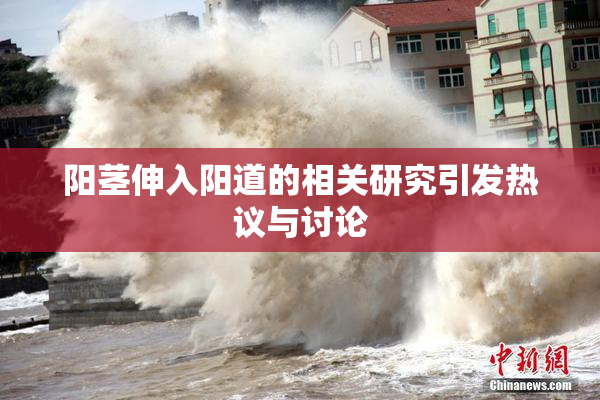 阳茎伸入阳道的相关研究引发热议与讨论