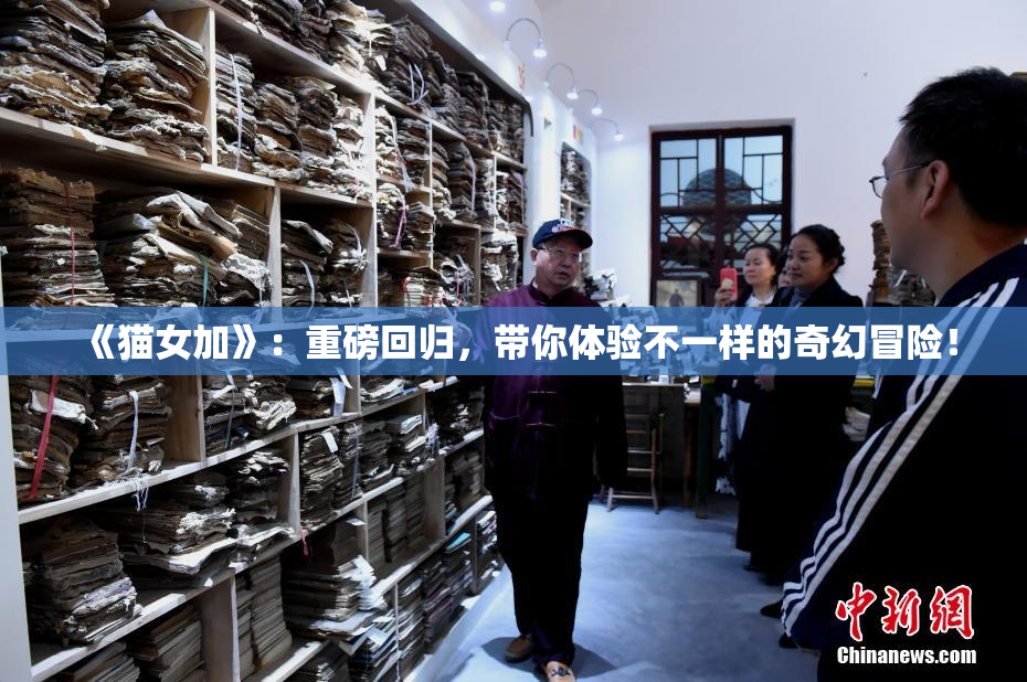 《猫女加》：重磅回归，带你体验不一样的奇幻冒险！