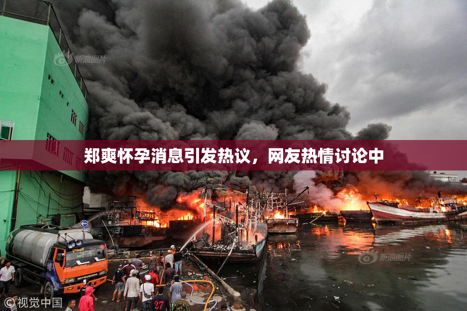 郑爽怀孕消息引发热议，网友热情讨论中