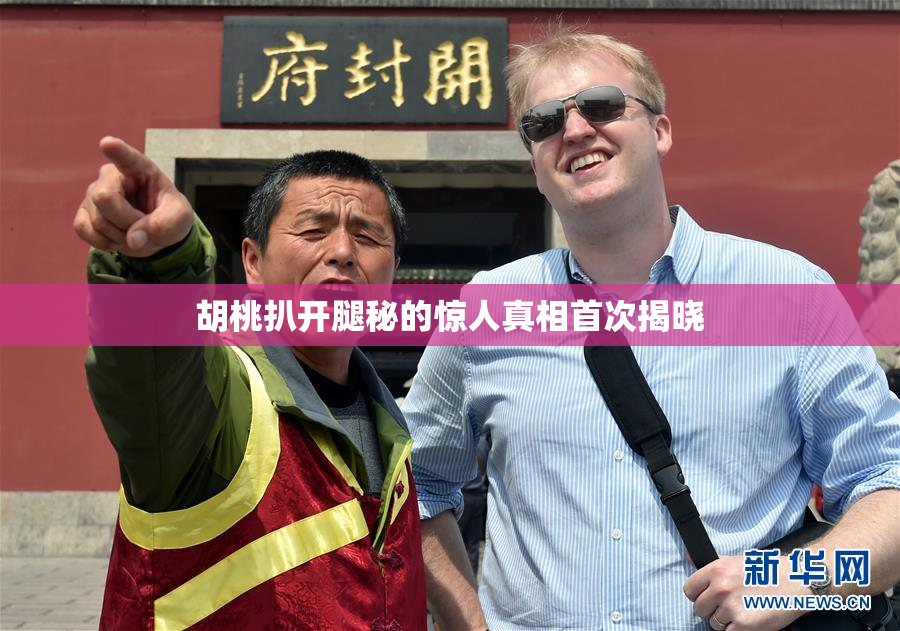 胡桃扒开腿秘的惊人真相首次揭晓