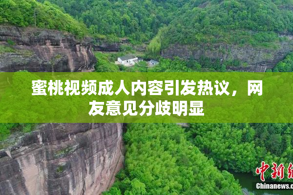 蜜桃视频成人内容引发热议，网友意见分歧明显