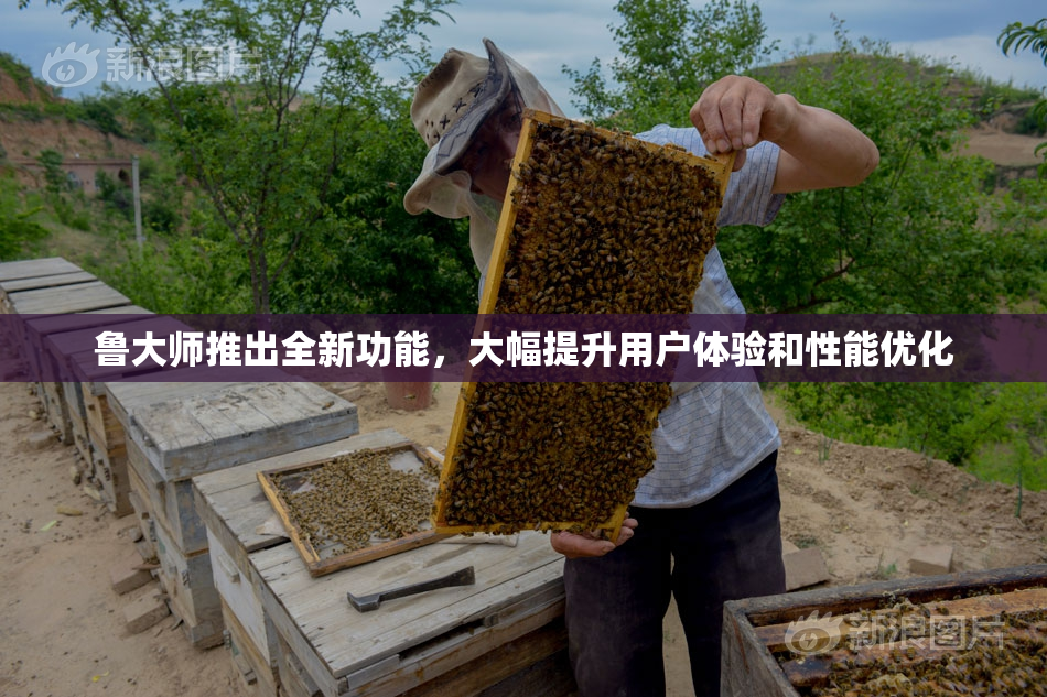 鲁大师推出全新功能，大幅提升用户体验和性能优化
