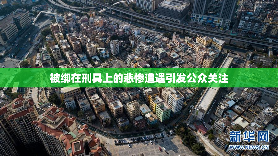被绑在刑具上的悲惨遭遇引发公众关注