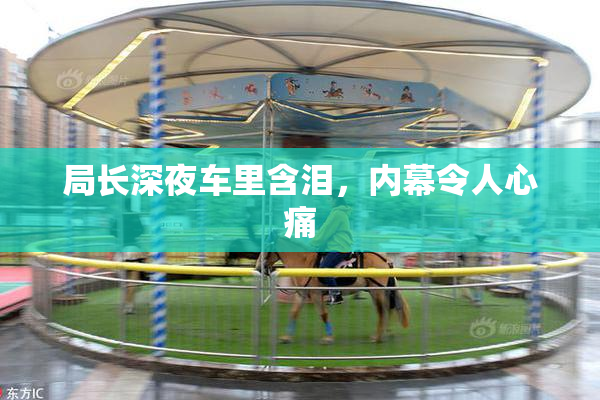 局长深夜车里含泪，内幕令人心痛