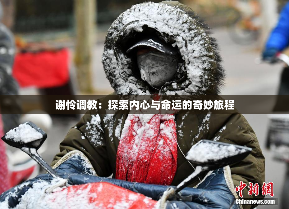 谢怜调教：探索内心与命运的奇妙旅程