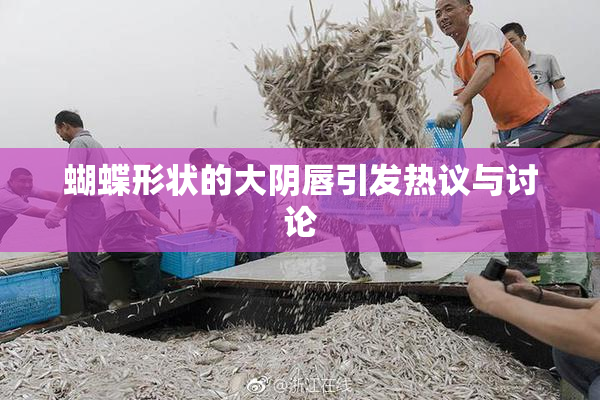蝴蝶形状的大阴唇引发热议与讨论
