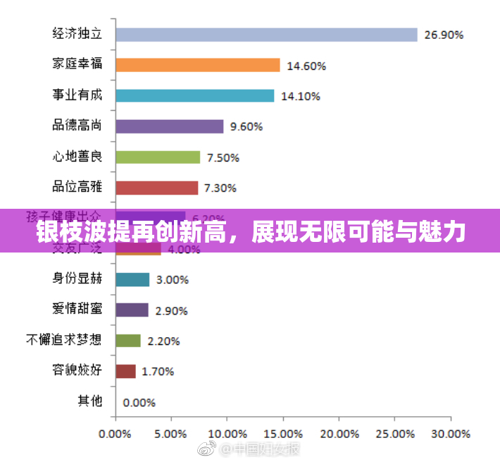 银枝波提再创新高，展现无限可能与魅力