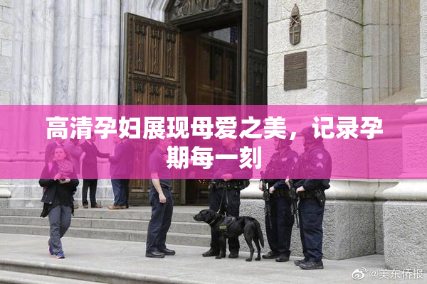 高清孕妇展现母爱之美，记录孕期每一刻