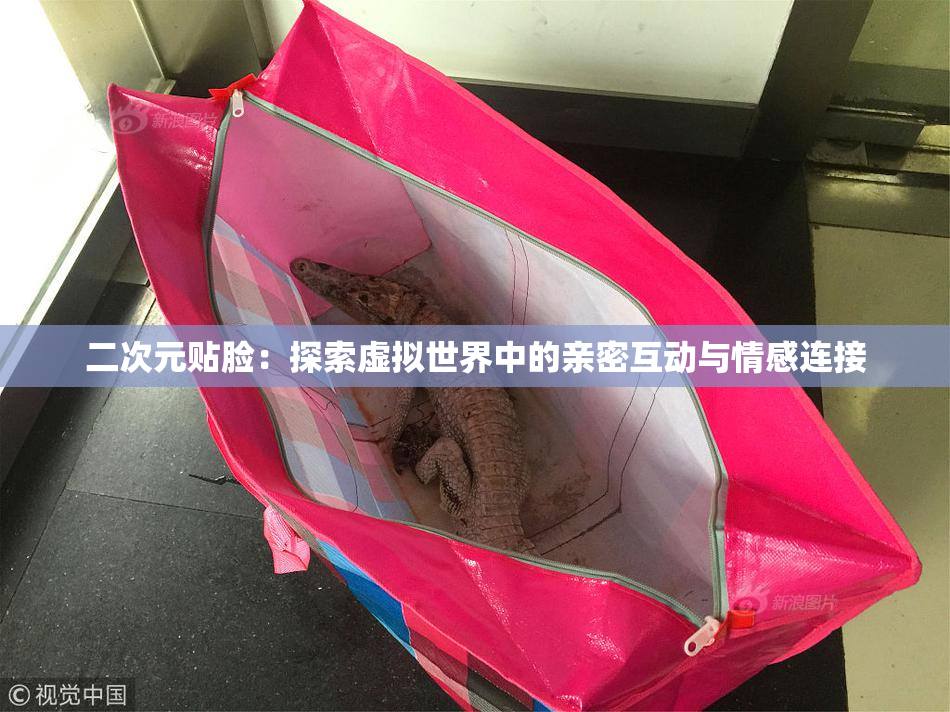 二次元贴脸：探索虚拟世界中的亲密互动与情感连接