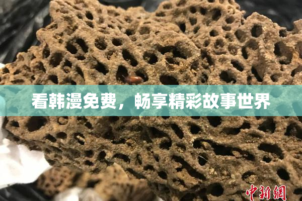 看韩漫免费，畅享精彩故事世界