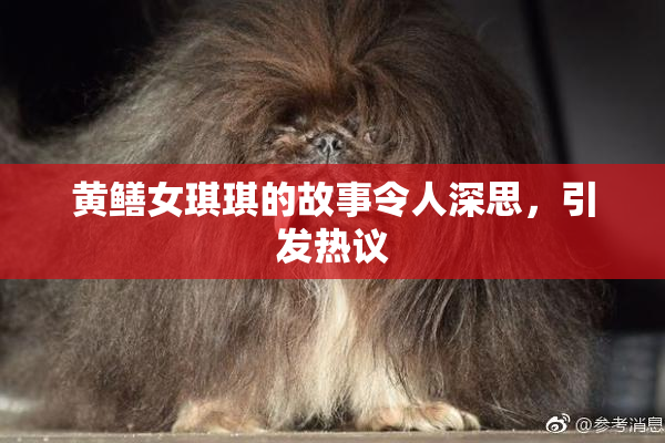 黄鳝女琪琪的故事令人深思，引发热议