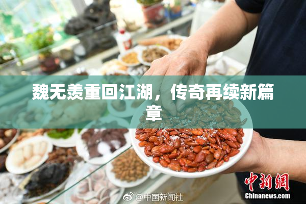 魏无羡重回江湖，传奇再续新篇章
