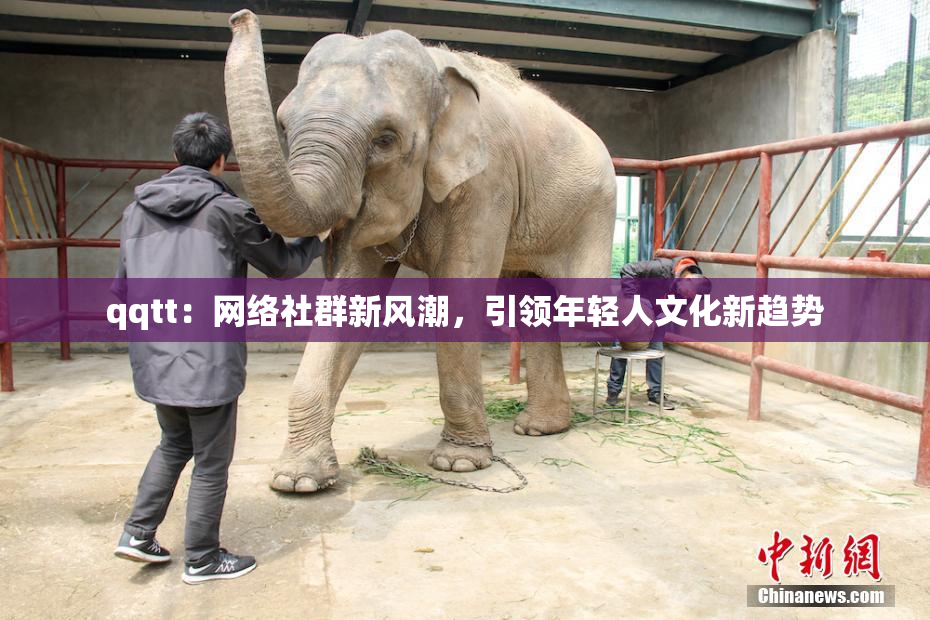 qqtt：网络社群新风潮，引领年轻人文化新趋势