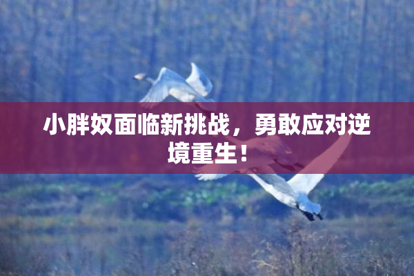 小胖奴面临新挑战，勇敢应对逆境重生！
