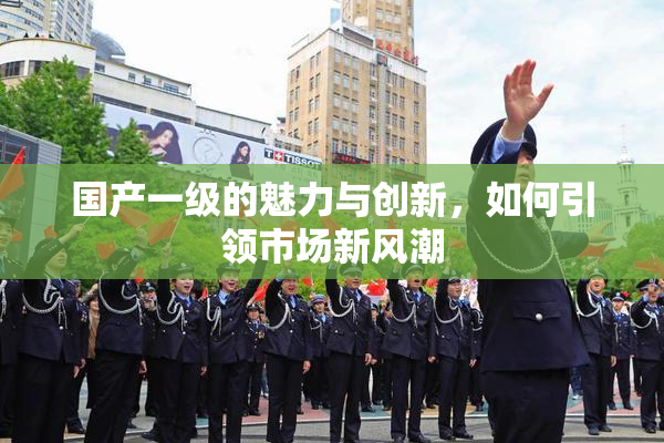 国产一级的魅力与创新，如何引领市场新风潮