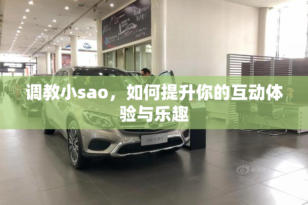 调教小sao，如何提升你的互动体验与乐趣
