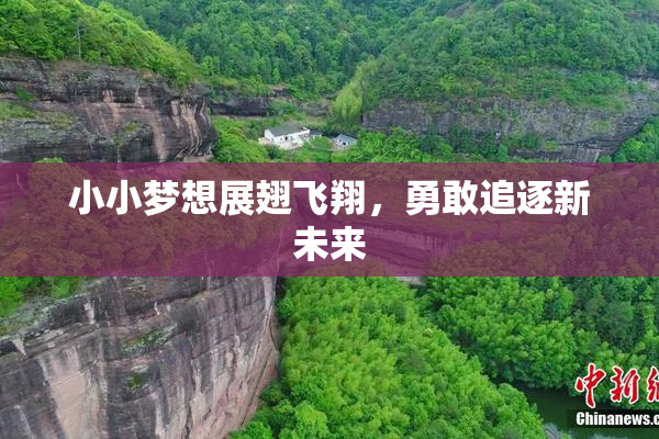 小小梦想展翅飞翔，勇敢追逐新未来