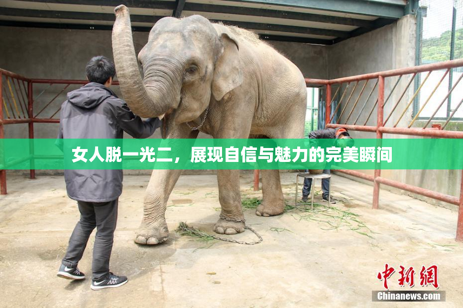 女人脱一光二，展现自信与魅力的完美瞬间