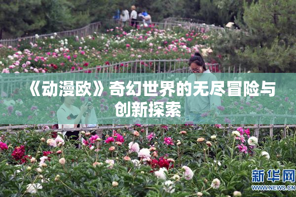 《动漫欧》奇幻世界的无尽冒险与创新探索